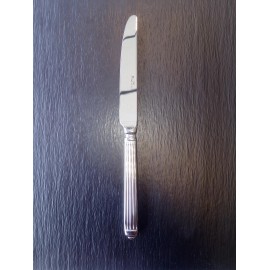 Cuchillo Mesa Ellade Pintinox